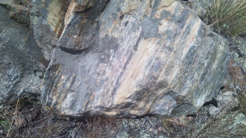 Гигантские зелёные валуны для ландшафтного дизайна весом более 5 тонн купить в Ишимбае