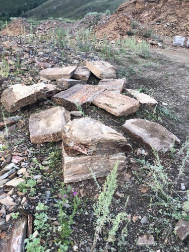 Плитняк кора дерева 50-100мм для пошаговых дорожек купить в Ишимбае